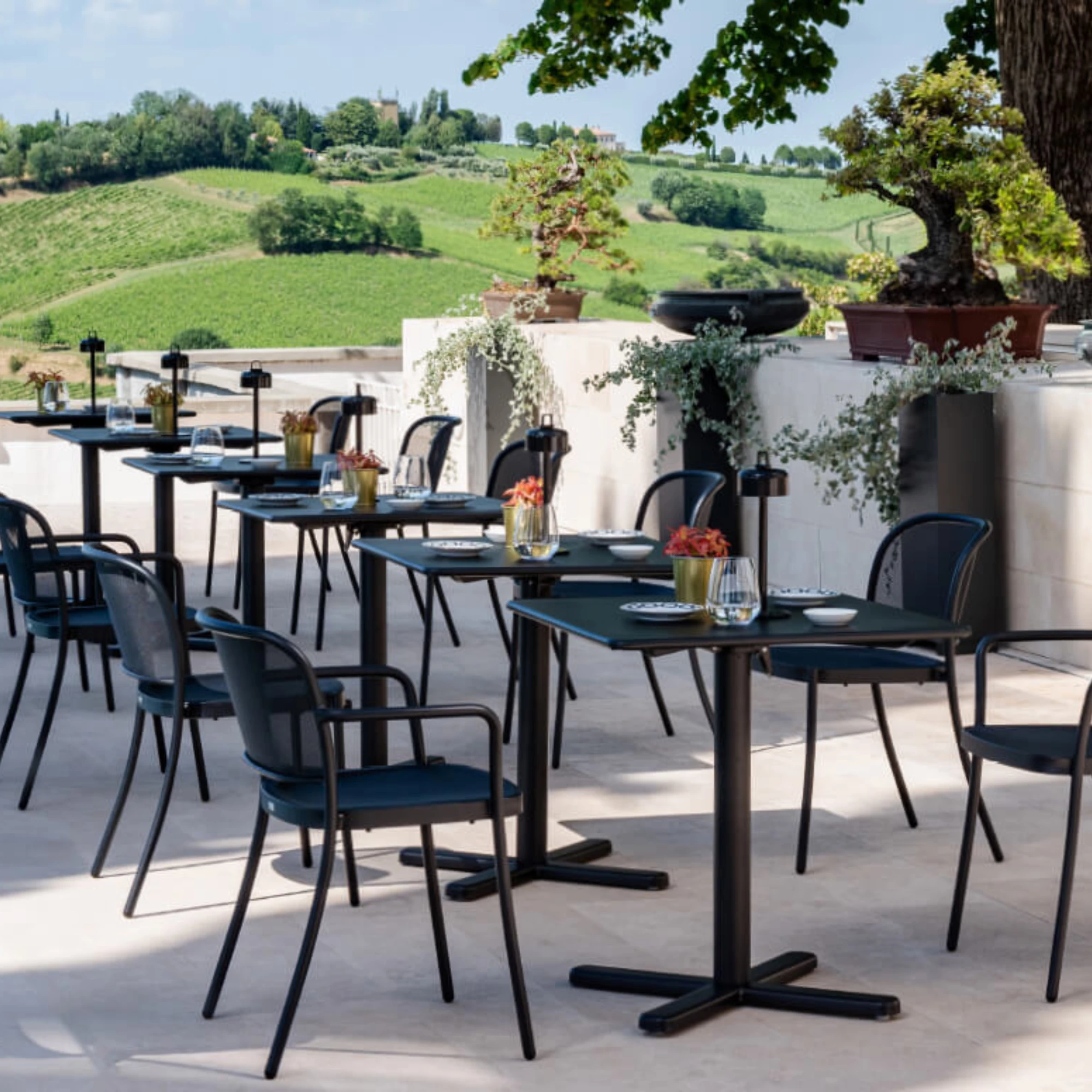 Darwin counter table